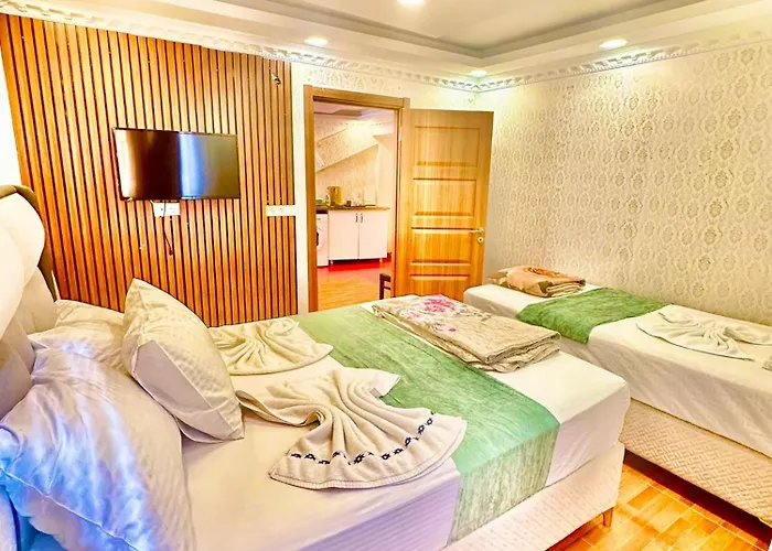 Sultanahmet Life Deluxe 公寓式酒店 伊斯坦布尔