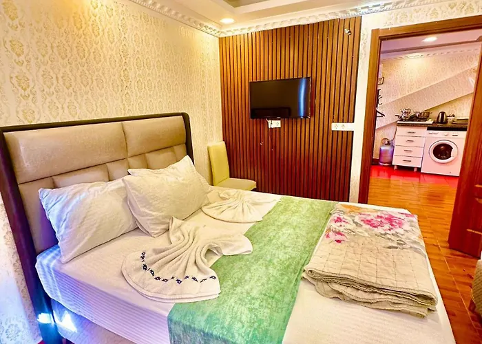 公寓式酒店 Sultanahmet Life Deluxe 4*