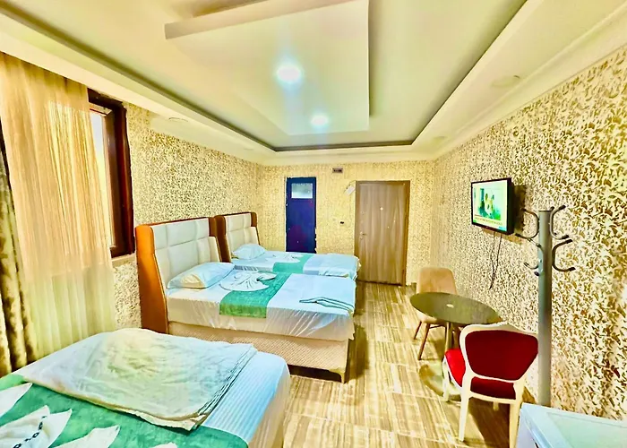 Sultanahmet Life Deluxe 公寓式酒店