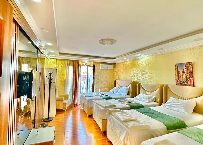 公寓式酒店 Sultanahmet Life Deluxe 伊斯坦布尔