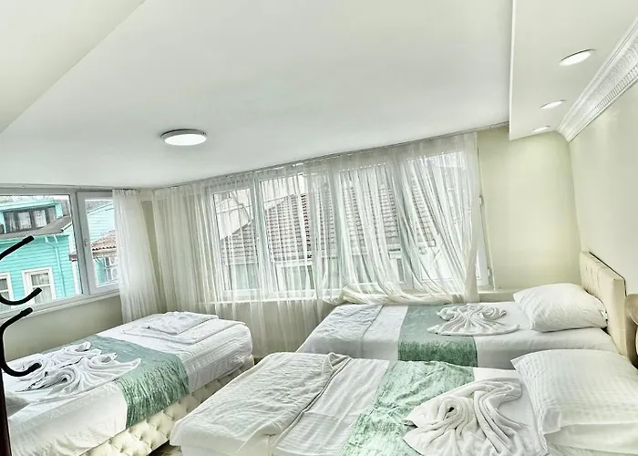 Appart hôtel Sultanahmet Life Deluxe Istambul