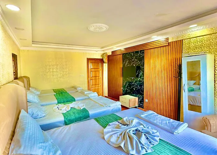 Sultanahmet Life Deluxe Appart hôtel 4*