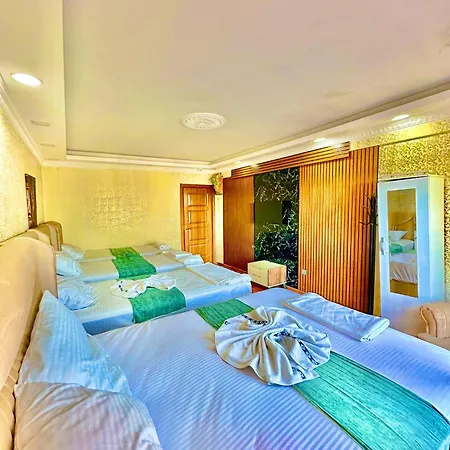 Sultanahmet Life Deluxe Aparthotel 4*